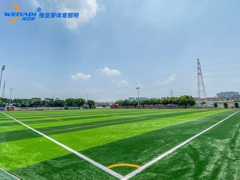 游泳馆照明与滑冰馆照明的技术创新解析